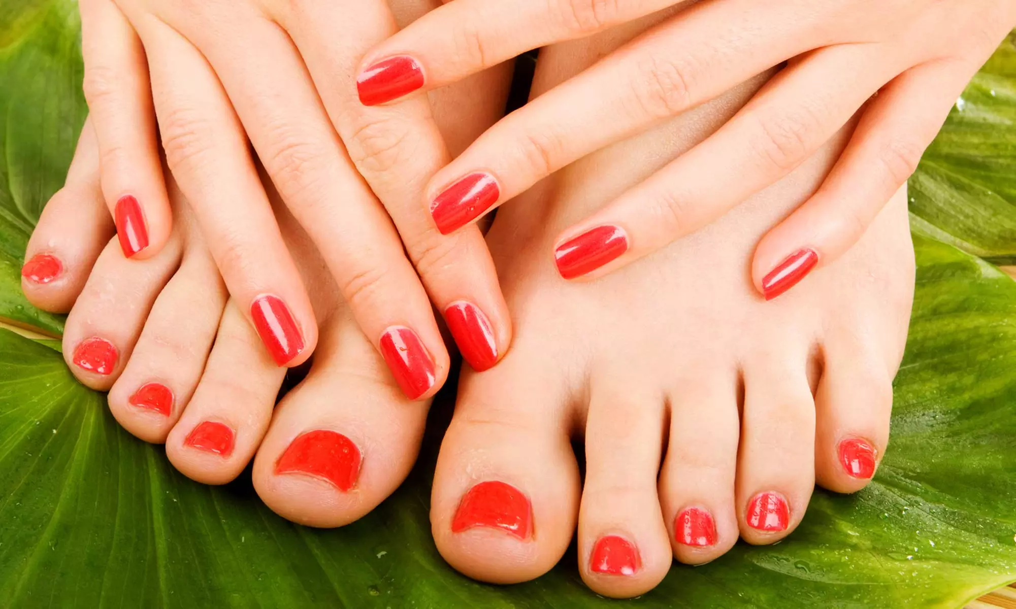 One Shellac Manicure, One Luxury Hot Oil Pedicure, or One Regular Manicure and Regular Pedicure (Up to 46% Off) - Primary Image
