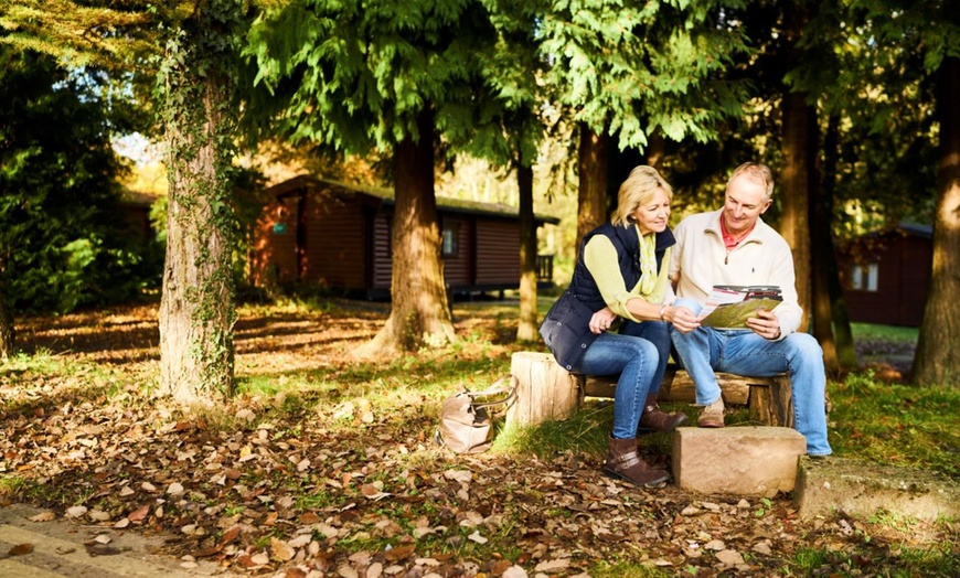 Image 6: Forest of Dean: Glamping Pod for Two