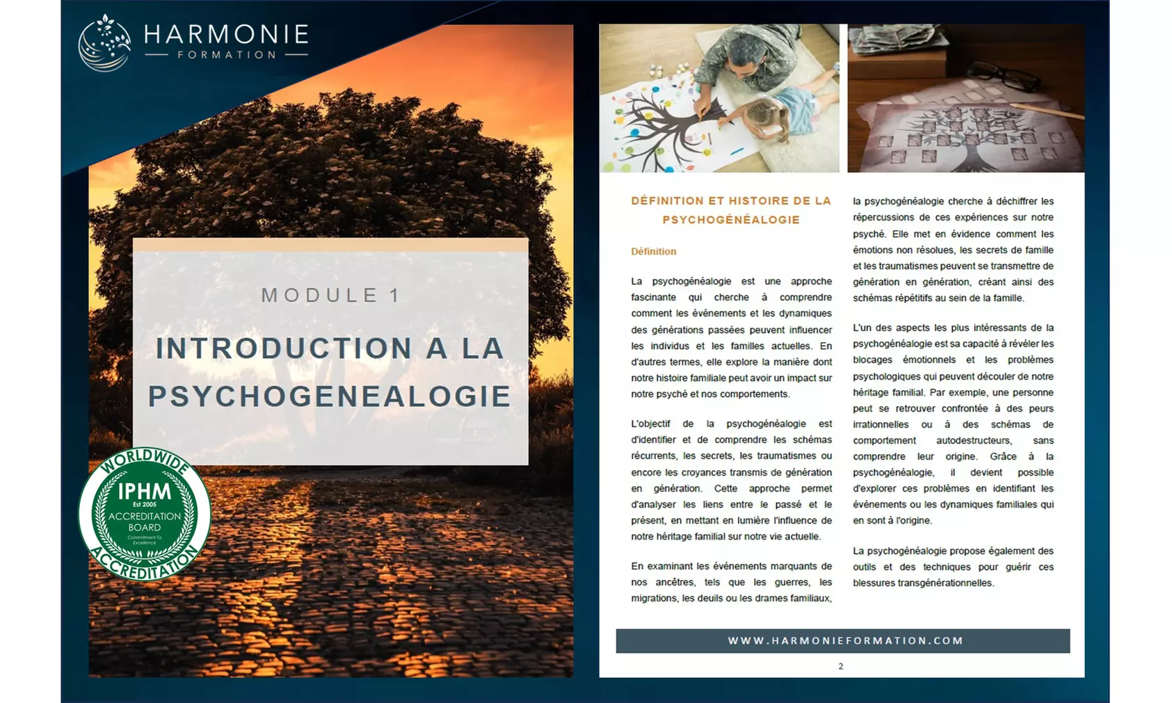 Explorez son héritage émotionnel via une formation en psychogénéalogie