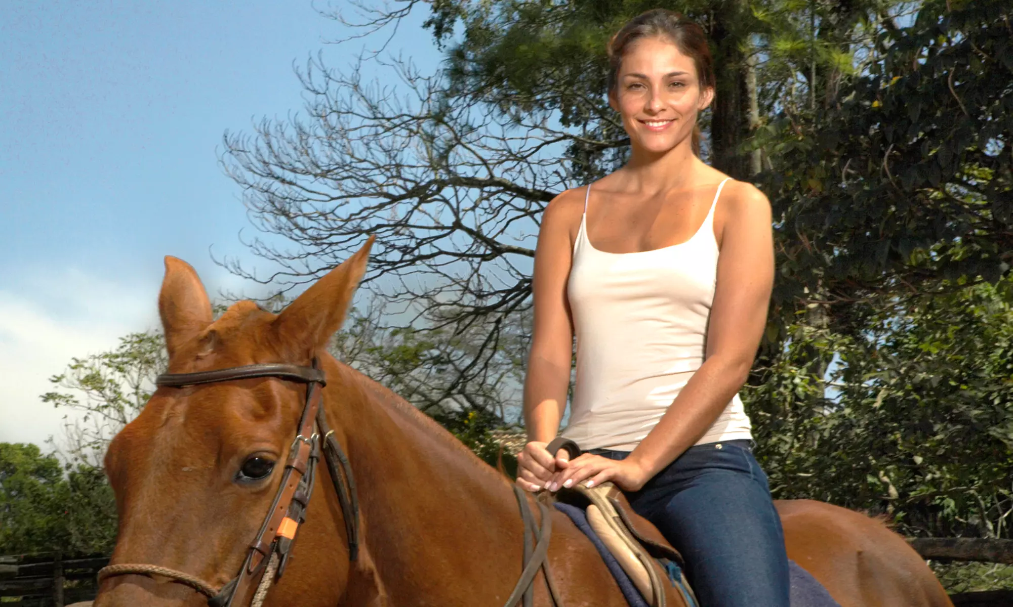 60-Minute Horseback Trail Ride for One or Two at Broken Bow Ranch (Up to 54% Off) - Primary Image