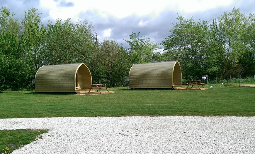 Image 5: Camping Pod in York