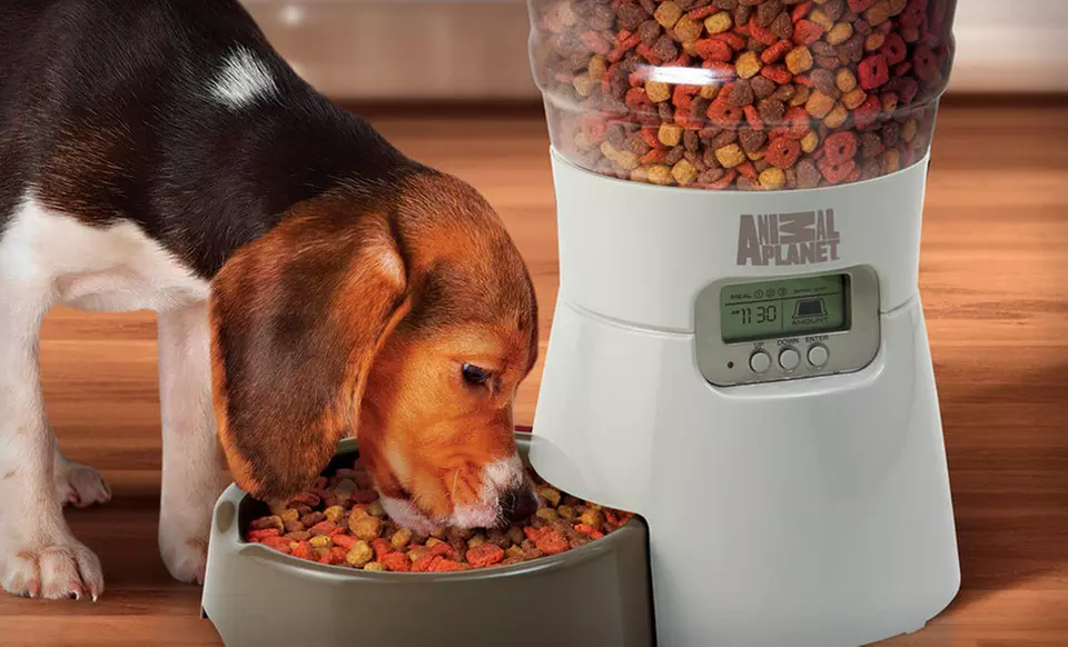 $29.99 for an Animal Planet Automatic Pet Feeder ($59.99 List Price). Free Shipping and Returns. - Primary Image