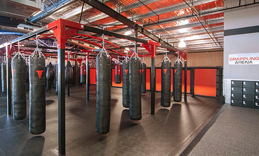 Image 3: One-Month UFC Gym Membership