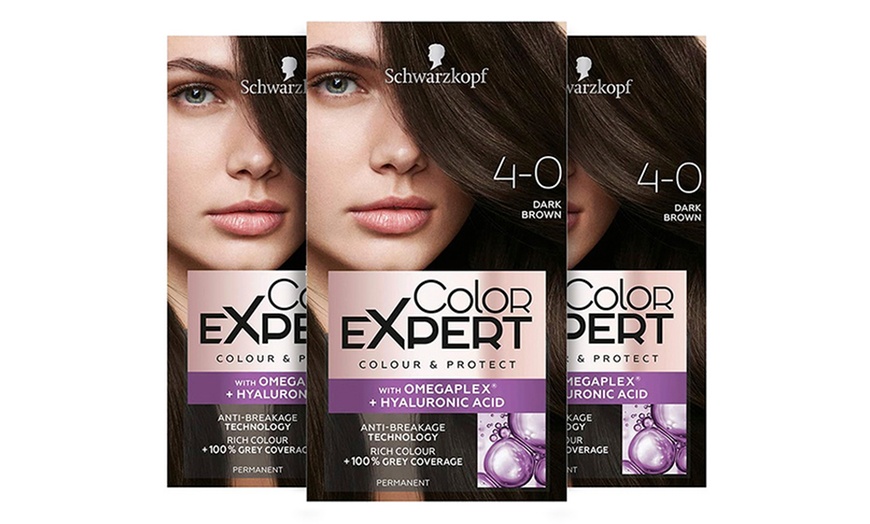 Image 11: Schwarzkopf Color Expert Hair Dye