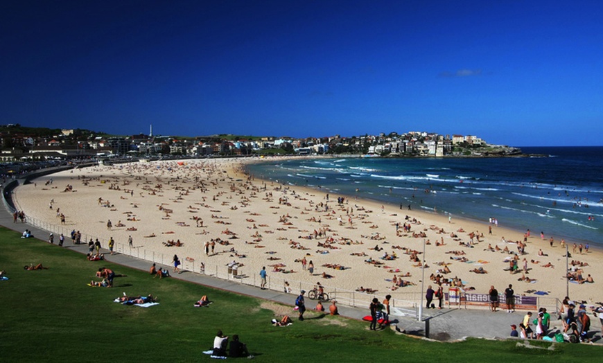 Image 3: Sydney and Bondi Bus Tour