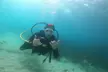 Descubre las maravillas del mar con un bautismo de buceo, con diploma acreditativo y descuento en cursos posteriores - Second Medium