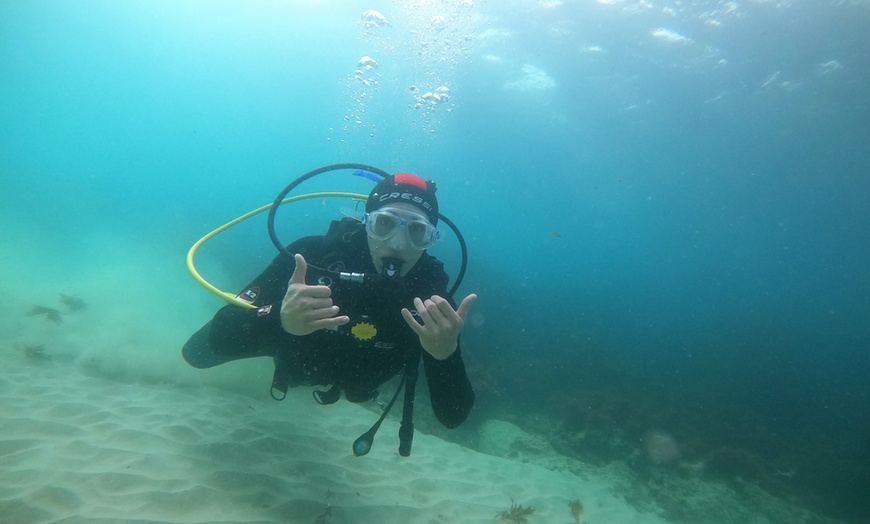 Image 5: Emoción bajo el agua: bautismo de buceo, diploma y descuento en cursos