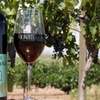 Image 10: HarvestFest 2026 at Sonoita Vineyards 