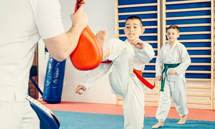 $53 for $150 Worth of Martial-Arts Lessons — Chay's Tae Kwon Do Cedarburg, Wi - Primary Image