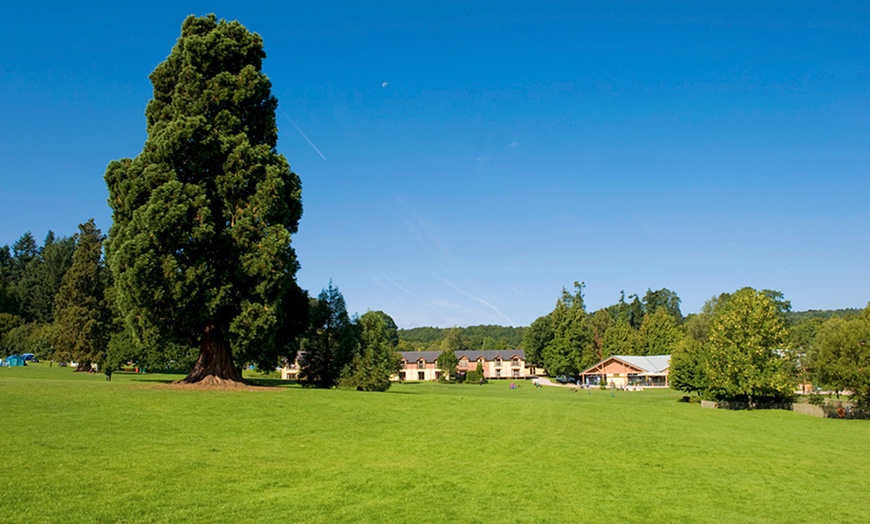 Image 5: Gloucestershire Self-Catering Glamping