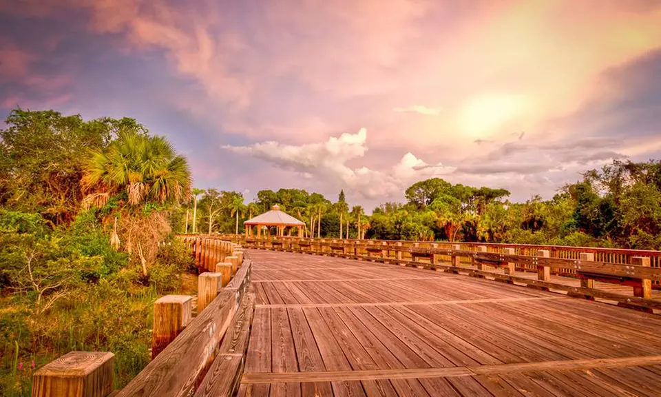 $85 for a Premium 50th Anniversary Membership to the Conservancy of Southwest Florida ($135 Value) - Primary Image
