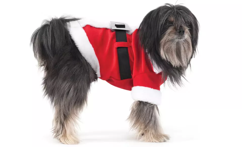 Holiday Dog Costumes. Multiple Styles Available. Free Returns. - Second Medium