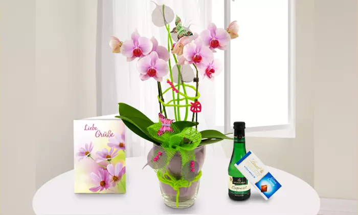 Orchideen-Gesteck mit 2 Trieben im Glas mit vielen Dekorationsaccessoires sowie Grußkarte für 19,99 € (33% sparen) - Primary Image