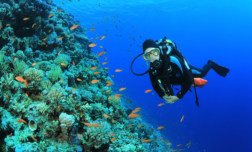 Image 1: Kurs nurkowania: intro, Scuba Diver i więcej 