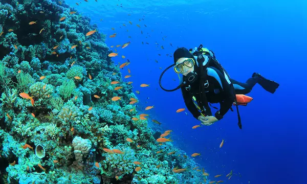 Sea 2 Sea Scuba - From $24.30 - Phoenix | Groupon