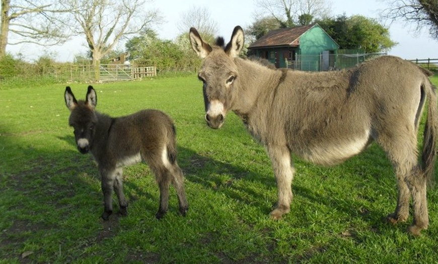 Image 2: Chew Valley Country Farm