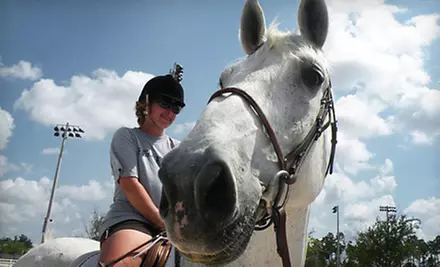 Horseback-Riding Lessons at Lazy Acres Farms (Up to 53% Off). Three Options Available. - Primary Image