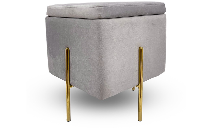 Image 6: Pouf contenitore in velluto