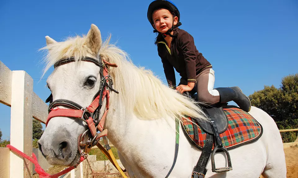 Four or Eight Weeks of Mommy and Me Pony Classes at Boca Riding Club (51% Off) - Primary Image