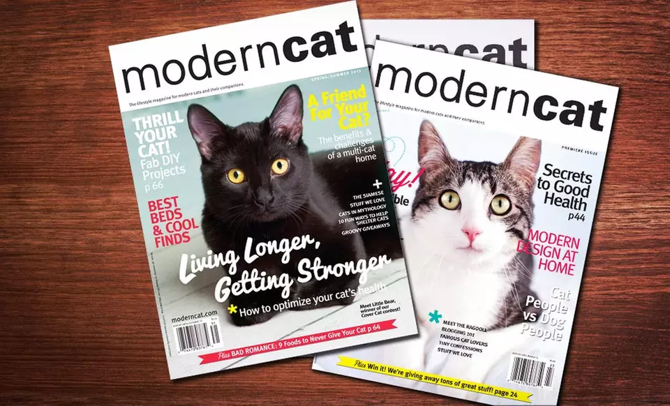 $9 for a 2-Year, 4-Issue Subscription to Modern Cat Magazine ($18 List Price). Free Shipping. - Primary Image
