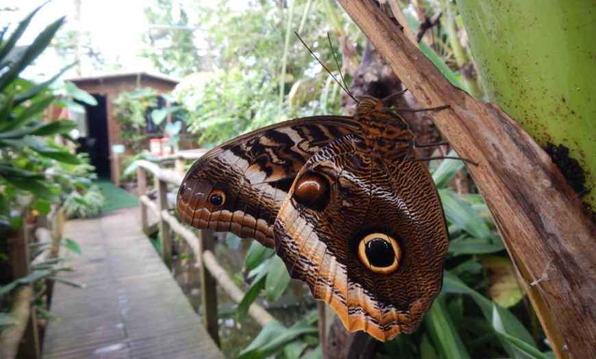 Image 2: Entree Vlinders aan de Vliet