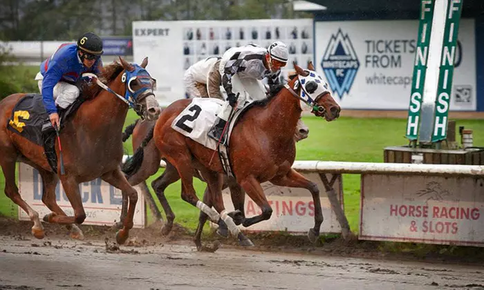 $24 for Private Box Seating and Programs for Up to Six at Hastings Racecourse ($48 Value) - Primary Image