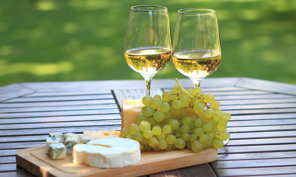 Wine Experience & Presentation with Snacks and Souvenirs for Two or Four at Democracy Vineyards (Up to 41% Off)  - Primary Image