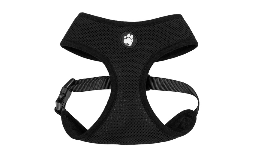 Mesh Pet Harness | Groupon