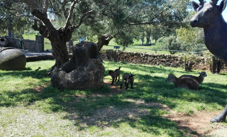 Image 28: Hasta 56% de dto. en CENTRO ANDALUZ DE LA FAUNA SALVAJE