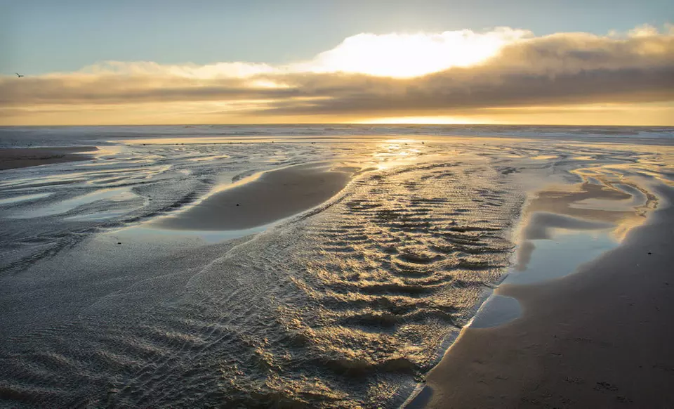 Two-Night Stay at Shearwater Inn in Lincoln City, OR - Primary Image