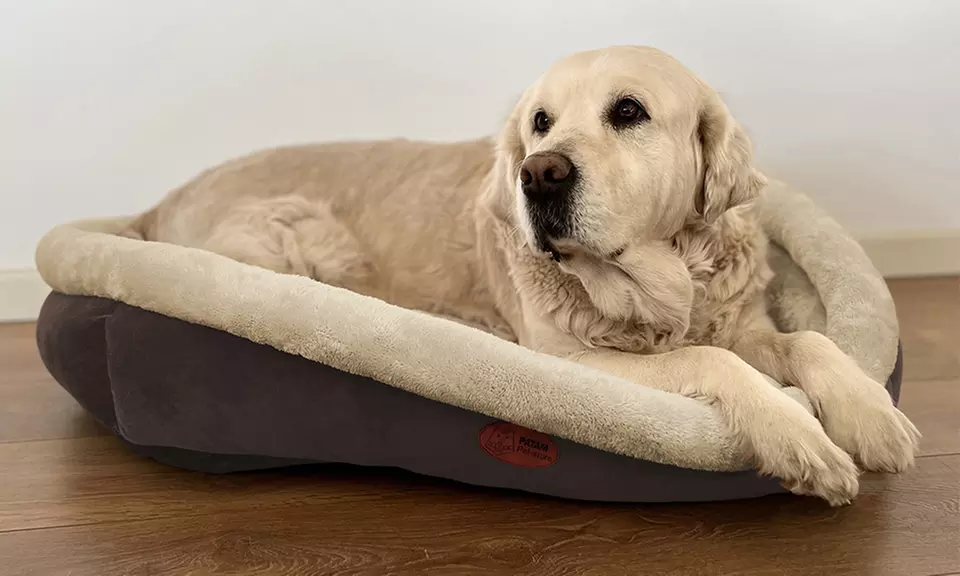 Cucce, lettini e divanetti per cani e gatti in vari modelli e misure