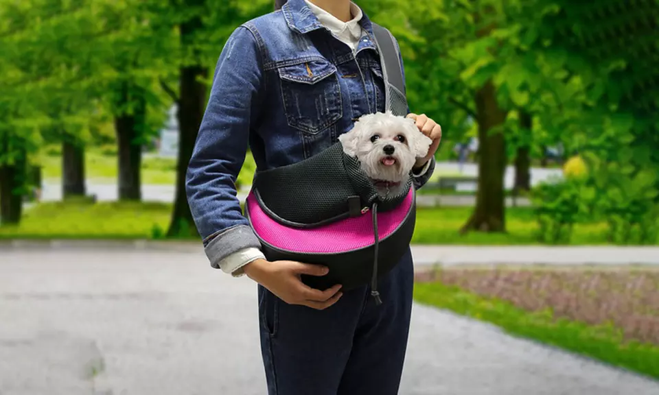 Hands-Free Pet Travel Carrier Shoulder Sling Bag - Primary Image