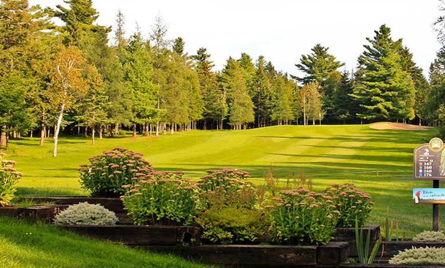 Image 4: Day of Golf with Cart