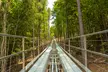 Blue Ridge Mountain Coaster at Jellystone Park™ Golden Valley! For Up to 4 People or 4 Rides! Save up to 23% - Second Medium