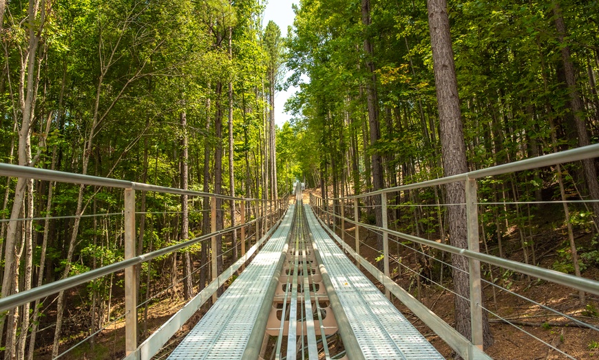 Image 4: Blue Ridge Mountain Coaster Tickets  For Up to 4 People or Rides!