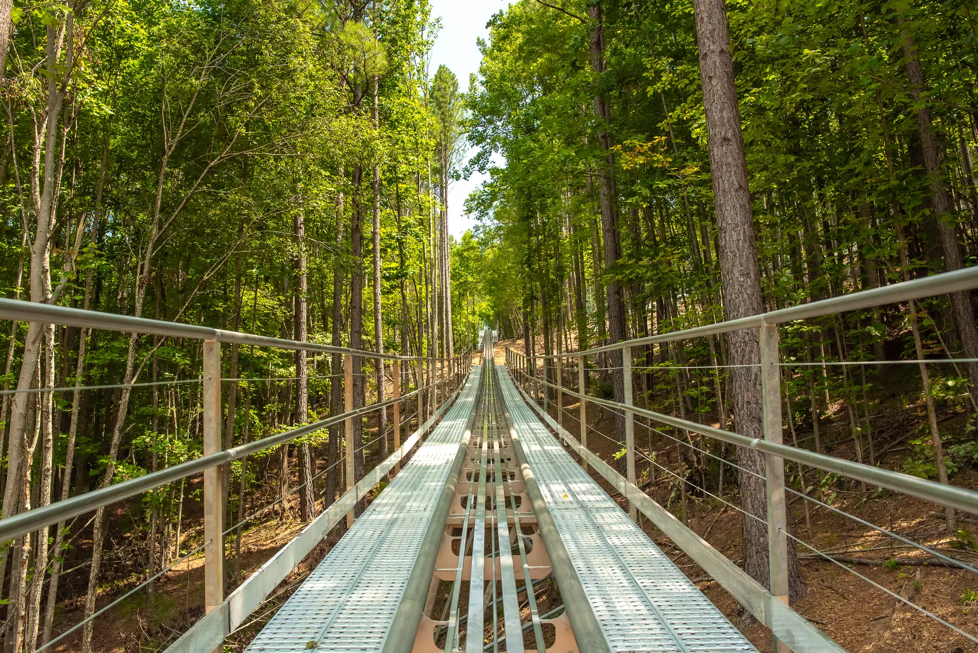 Blue Ridge Mountain Coaster Tickets  For Up to 4 People or Rides!