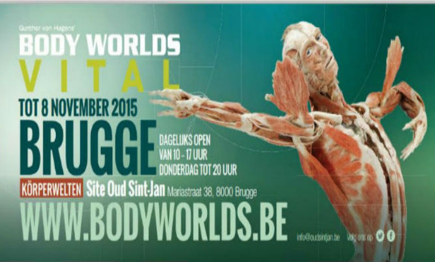 Image 3: Entrée à BODY WORLDS 