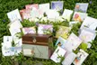 $19 for 30 Embellished All-Occasion Greeting Cards with a Green and Gold or Orange and Brown Keepsake Box ($90 List Price). Shipping Included. - Second Medium