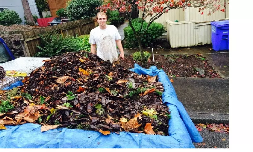 $30 for $60 Worth of Lawn and Garden Care — Flowers Yard Work - Primary Image
