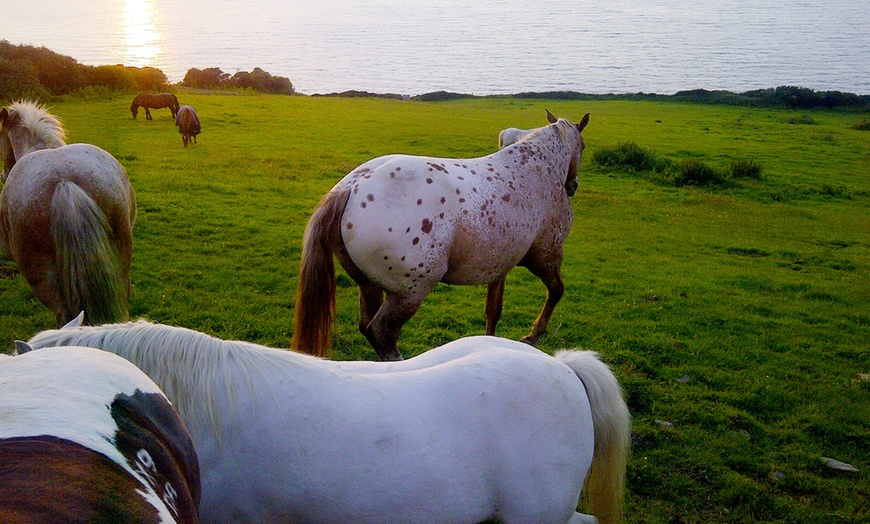 Image 9: Cardigan Bay Retreat