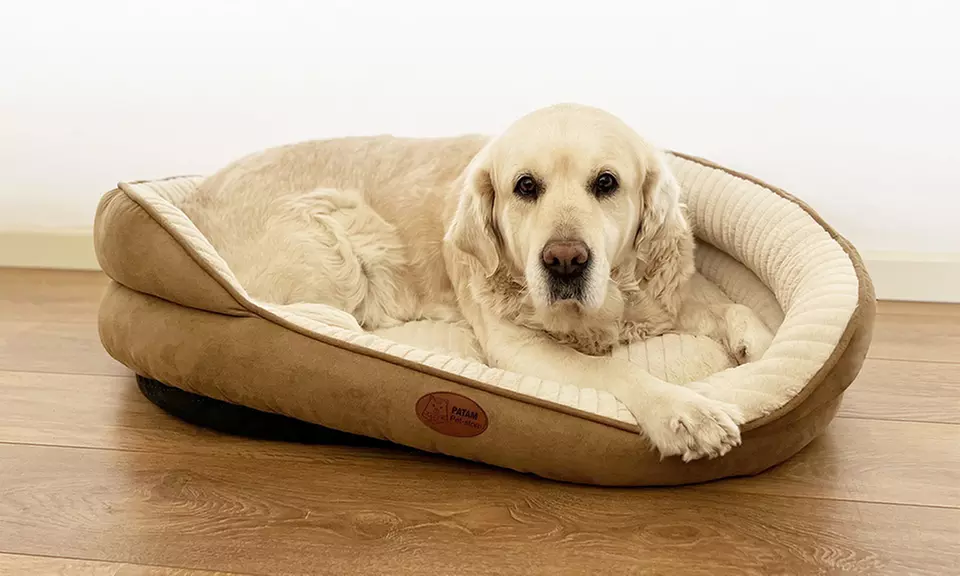 Cucce, lettini e divanetti per cani e gatti in vari modelli e misure