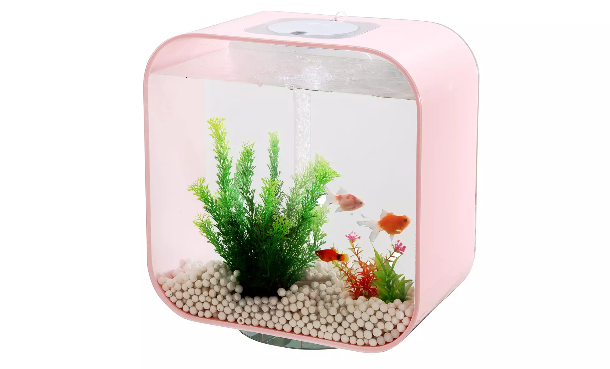 8-Gallon Aquarium - Second Medium