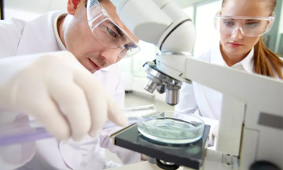 Adiós hinchazón: test intolerancias alimentarias o plan para adelgazar