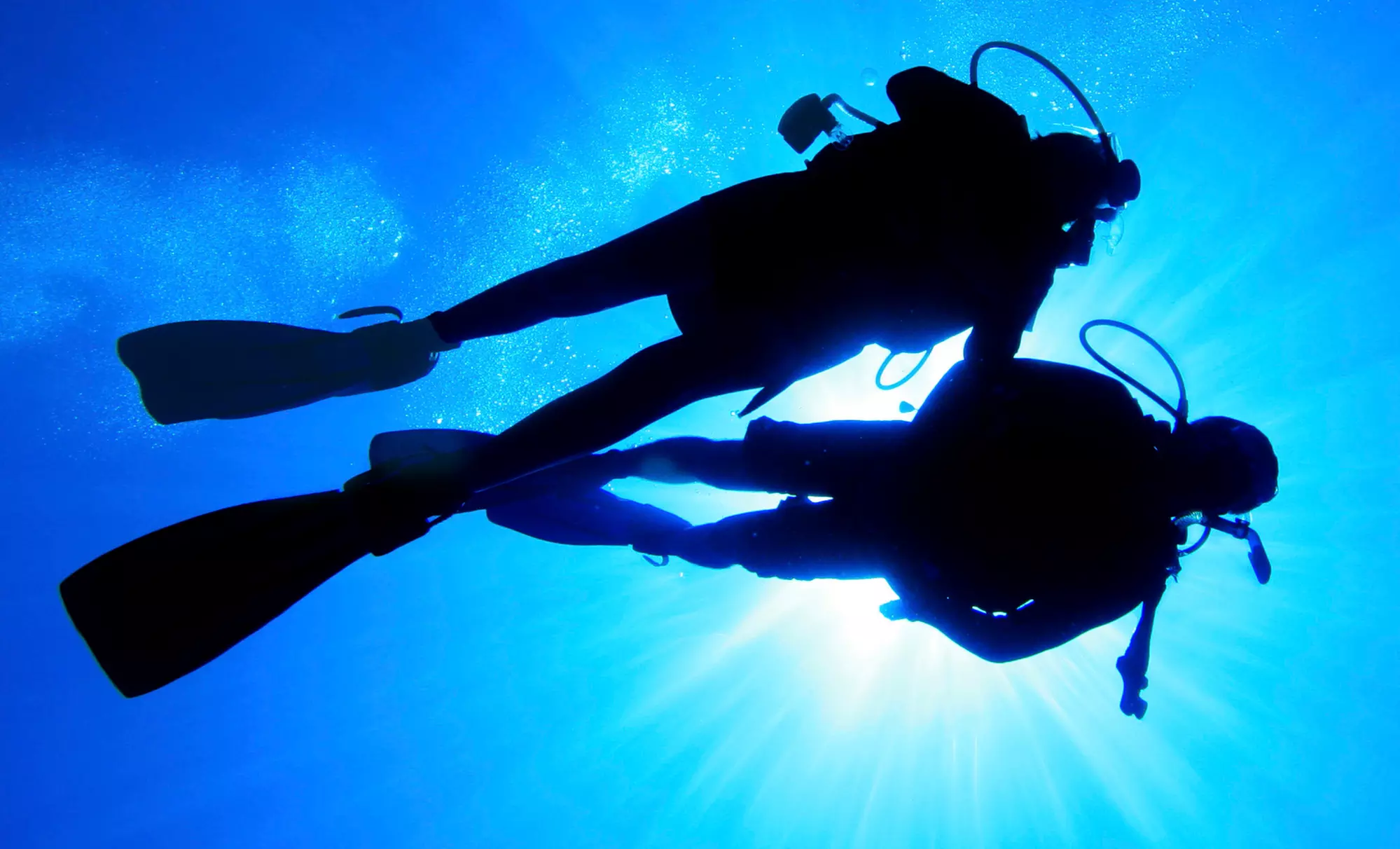 Discover Scuba Course for One or Two at Diving Locker (Up to 55% Off)  - Primary Image