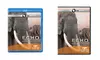 Echo: An Elephant to Remember. DVD or Blu-Ray From $9.99–$12.99