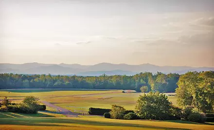 The Montpelier Foundation Visit for Two or Four (Half Off)  - Second Medium