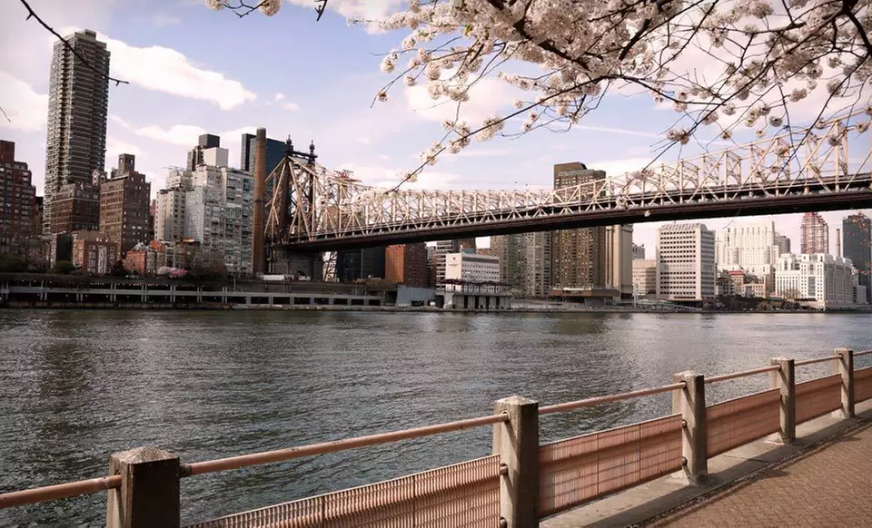 One-Night Stay with $20 Dining Credit and Wine or Champagne at Z NYC Hotel in Queens, New York - Primary Image