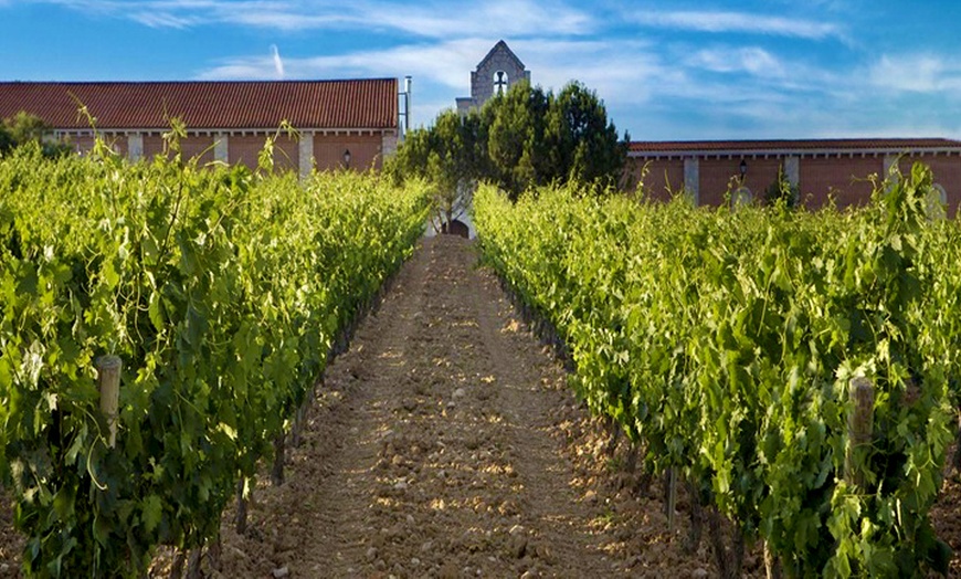 Image 7: Visita a bodega con cata de vinos y selección de embutidos y queso