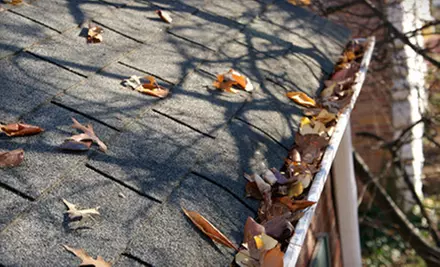 Gutter Cleaning with Optional Moss Removal or Moss Treatment from White Lion Moss Removal (Up to 51% Off) - Primary Image
