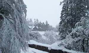 Zostań Lordem lub Lady